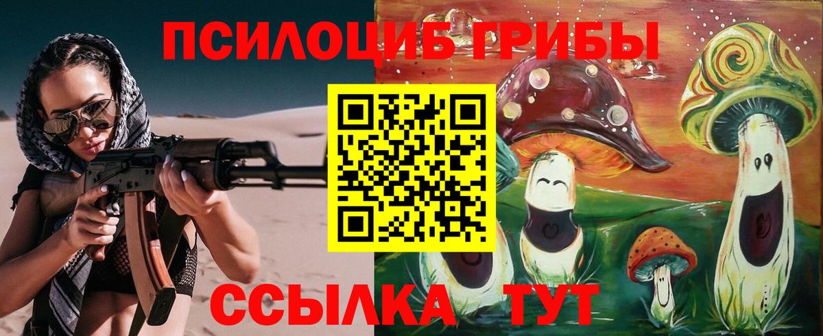 Псилоцибиновые грибы MAGIC MUSHROOMS  купить наркоту  Миллерово  Вход с VPN 